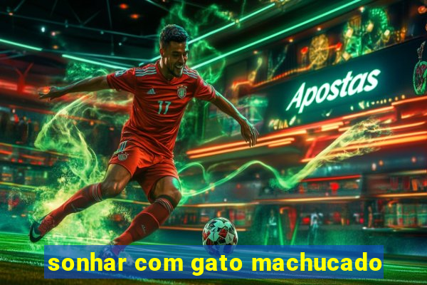 sonhar com gato machucado